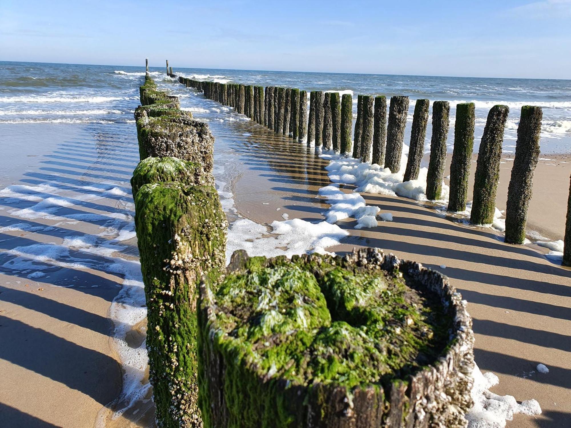 Studio Aan Zee Oostkapelle Phòng bức ảnh