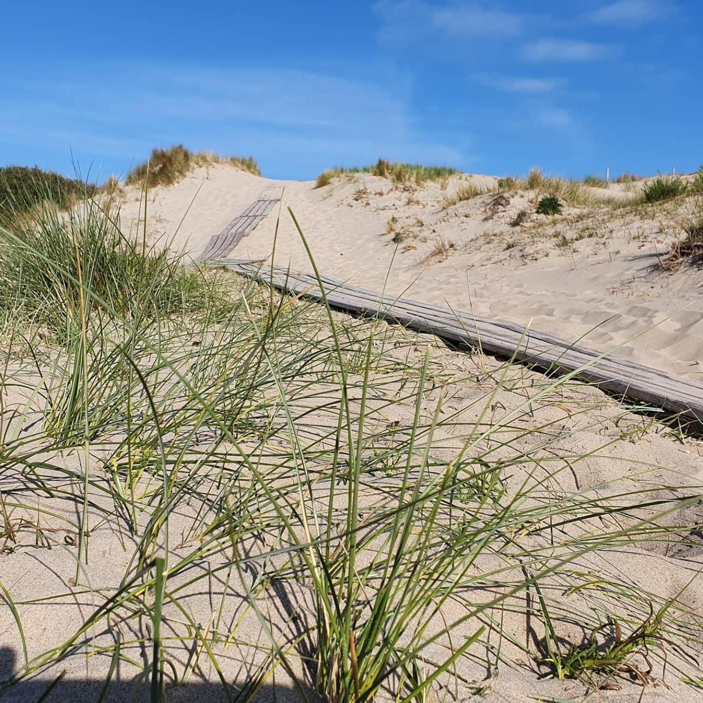 Studio Aan Zee Oostkapelle Phòng bức ảnh